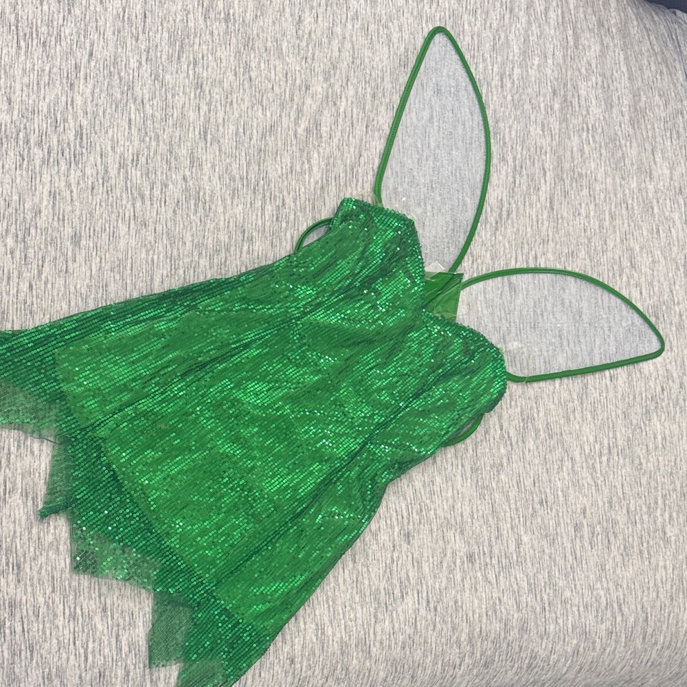 Green Sequin Fairy Costume Dress and Wings